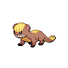 Yungoos sprite