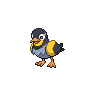 Wattrel sprite
